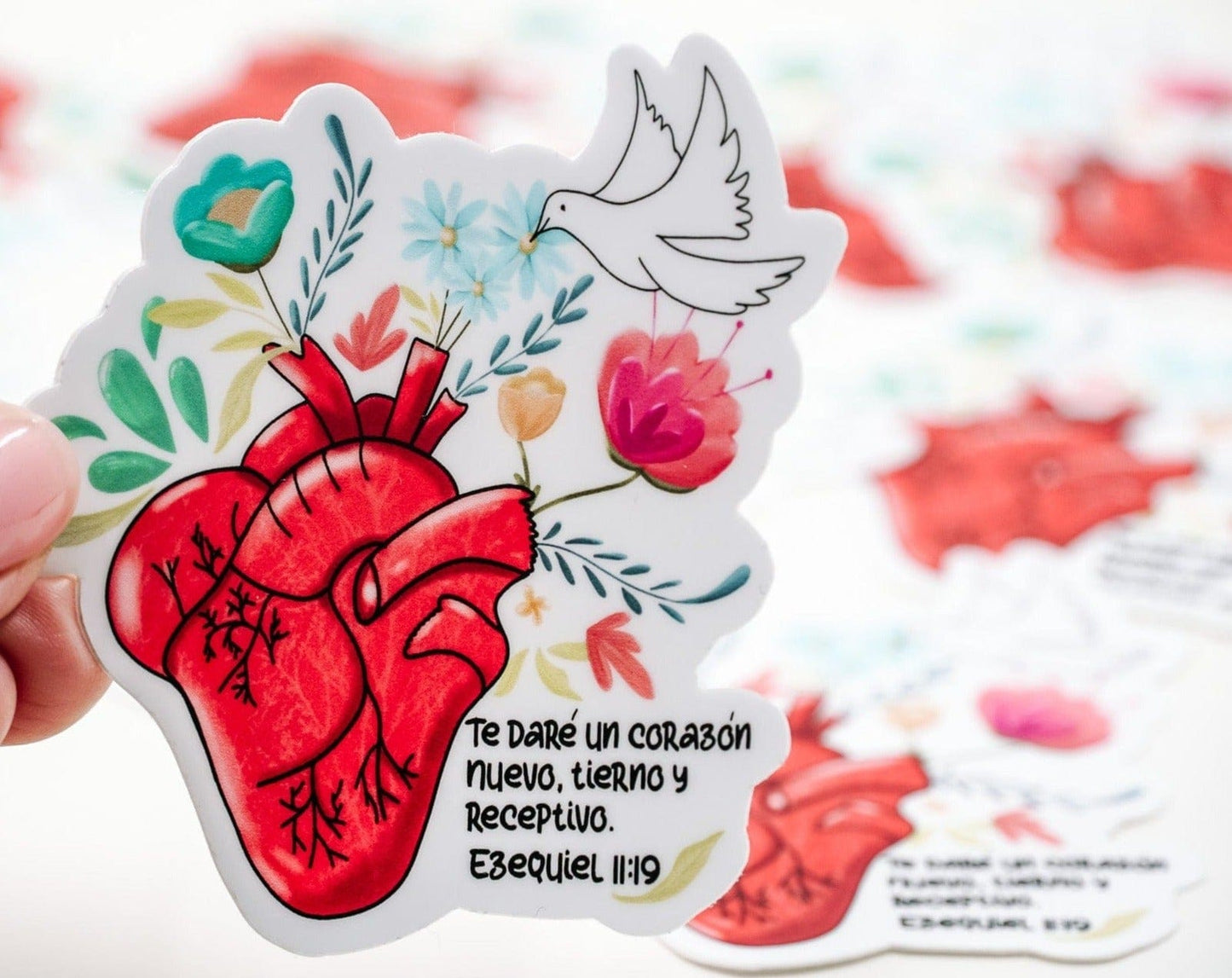 Biblical waterproof sticker in Spanish featuring a red anatomical heart, flowers, dove, and Ezekiel 11:19 verse about a new heart.